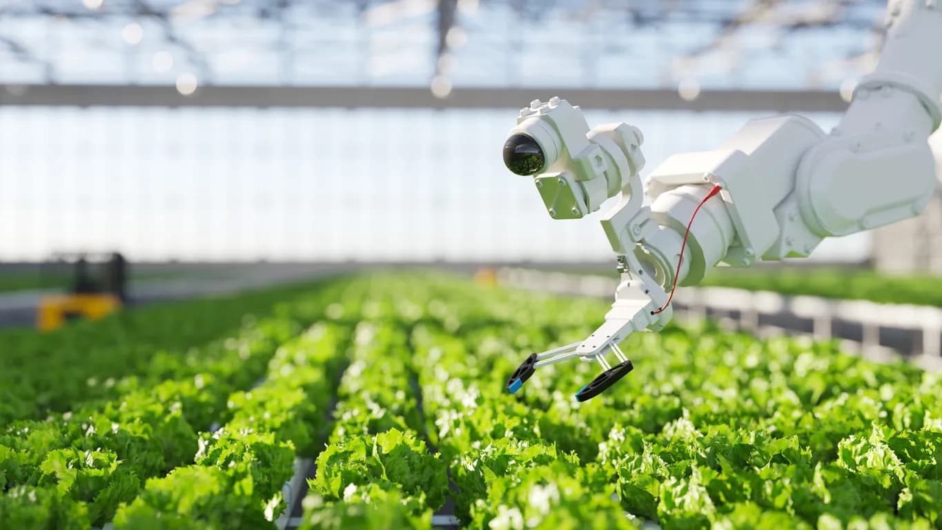 Il futuro dell'AI nel software enterprise